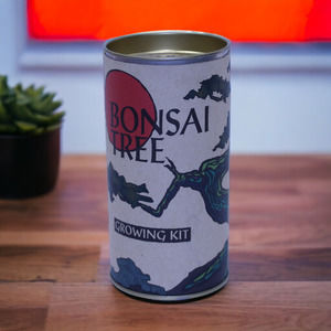 The Jonsteen Company Japanese Maple Acer Palmatum Bonsai Tree Growing Kit